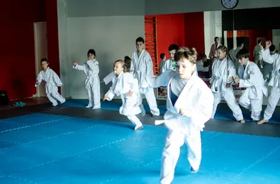 Akademia Japońkich Sztuk Walki